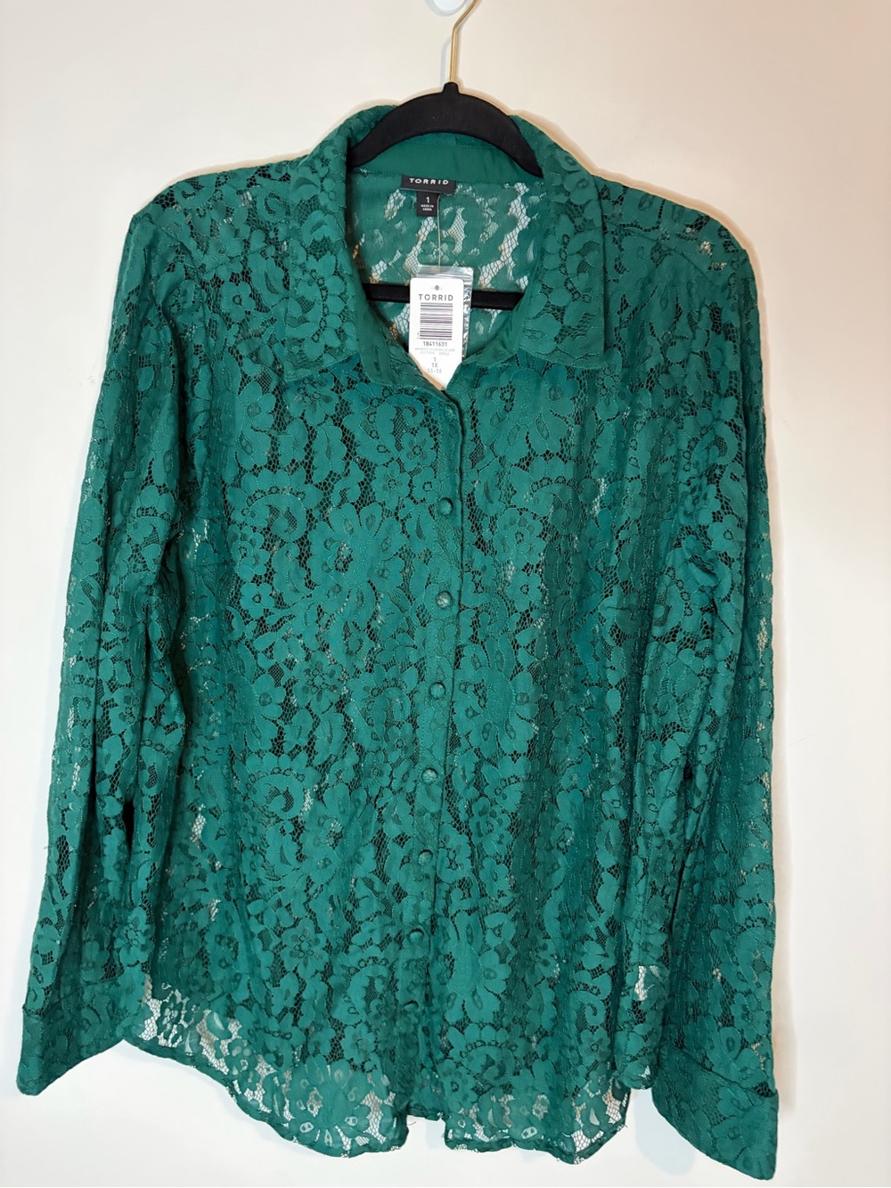 NWT Torrid Emerald Floral Lace Button-Front Blouse Size 1X